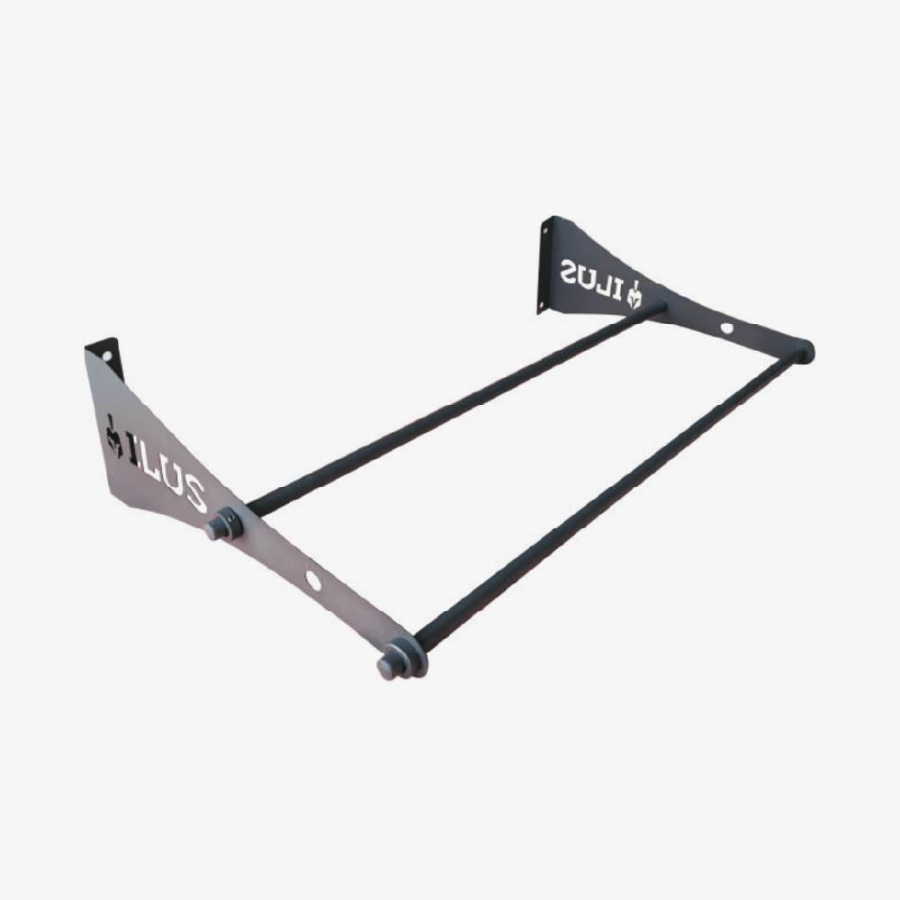 ILUS 2 Swiss Ball Rack