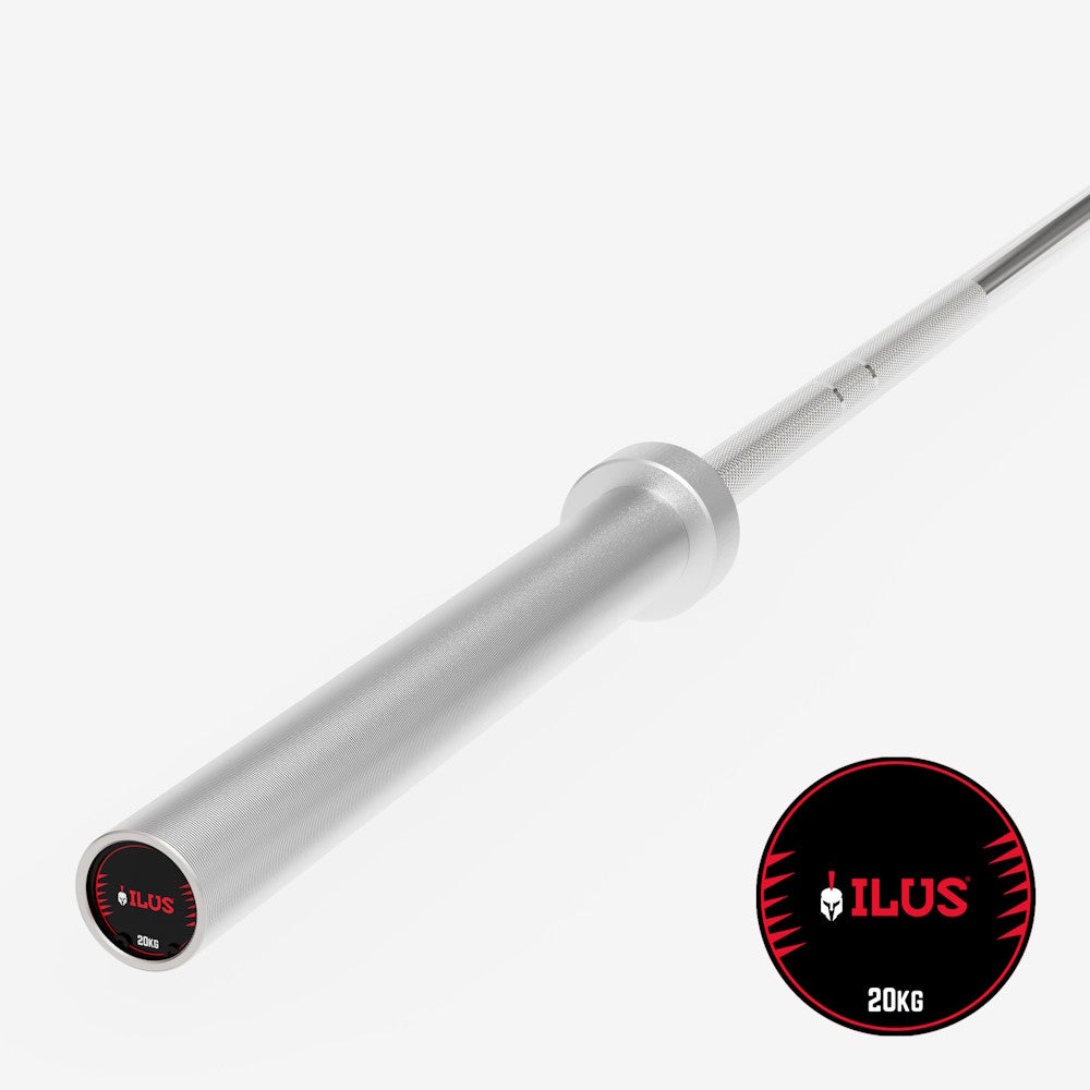 ILUS 700 lb Silver Bar