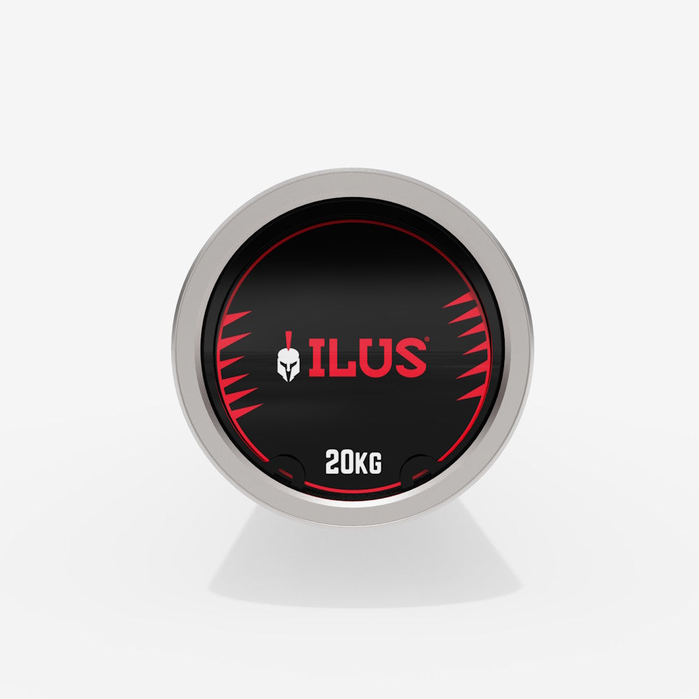 ILUS 700 lb Silver Bar