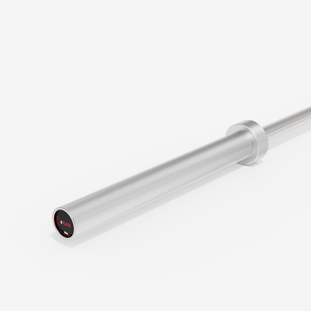 ILUS 700 lb Silver Bar