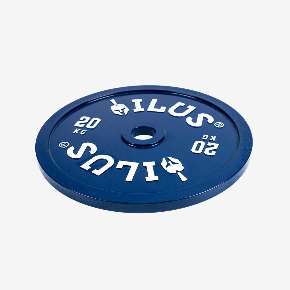 Pair of Iron ILUS Calibrated Discs