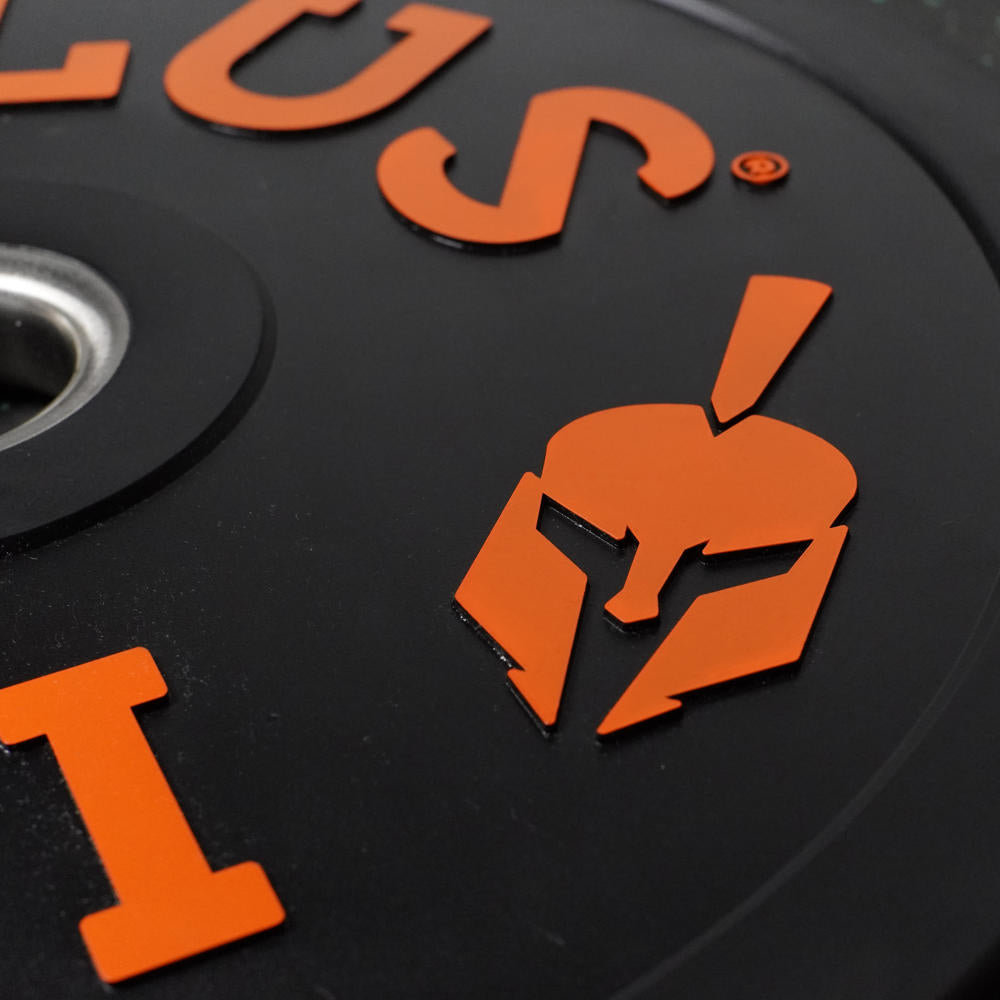 Par de discos ILUS Training Bumpers de colores – imagen 6