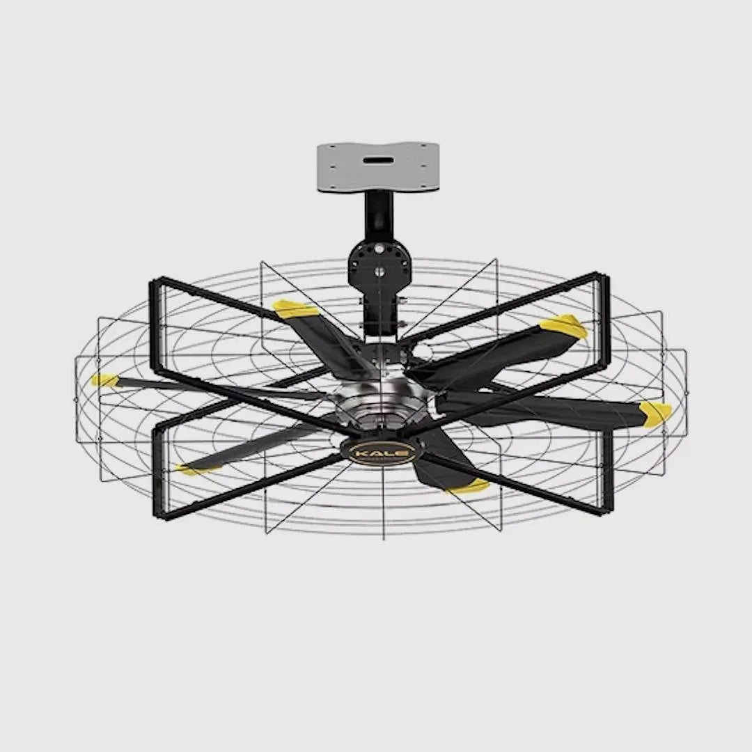 {{product_title}} - {{product_type}} de {{product_vendor}}