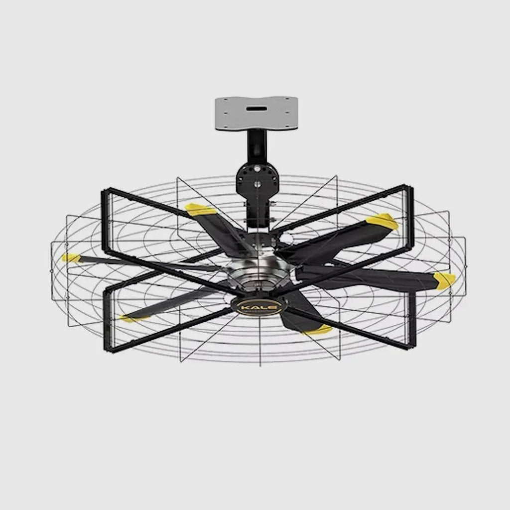 {{product_title}} - {{product_type}} de {{product_vendor}}