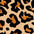 banda elástica diseño leopardo