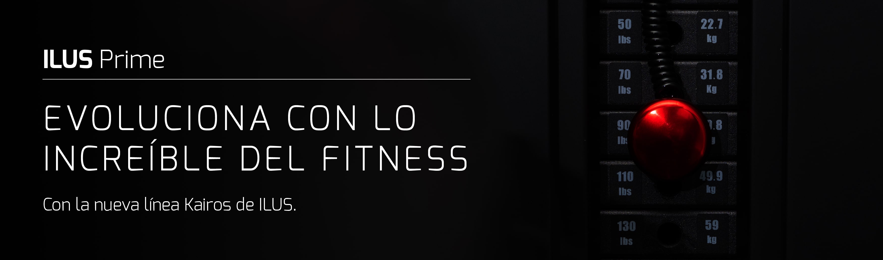 Servicio técnico oficial de Sports & Health Solutions para ILUS Fitness y sus marcas de representación